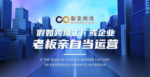 跨境企業老板兼任運營 機遇與挑戰并存的管理新策略