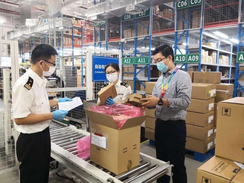 同心共稽 追求卓越——南京海關企業管理和稽查處黨支部黨建品牌創建紀實