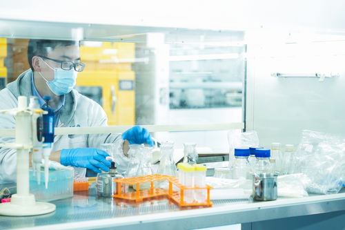 向新而行 以質致遠丨效率提升數十倍，四川這家企業用“特別工廠”重構制造新生態
